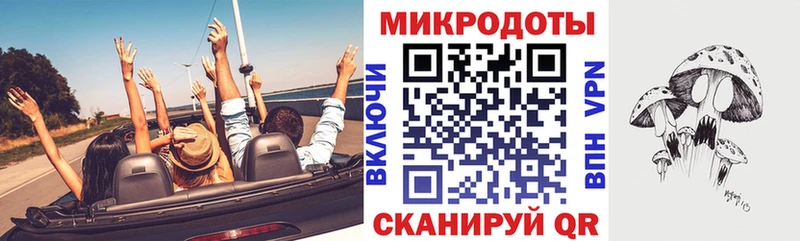 Псилоцибиновые грибы GOLDEN TEACHER  наркотики  Ленинск-Кузнецкий 