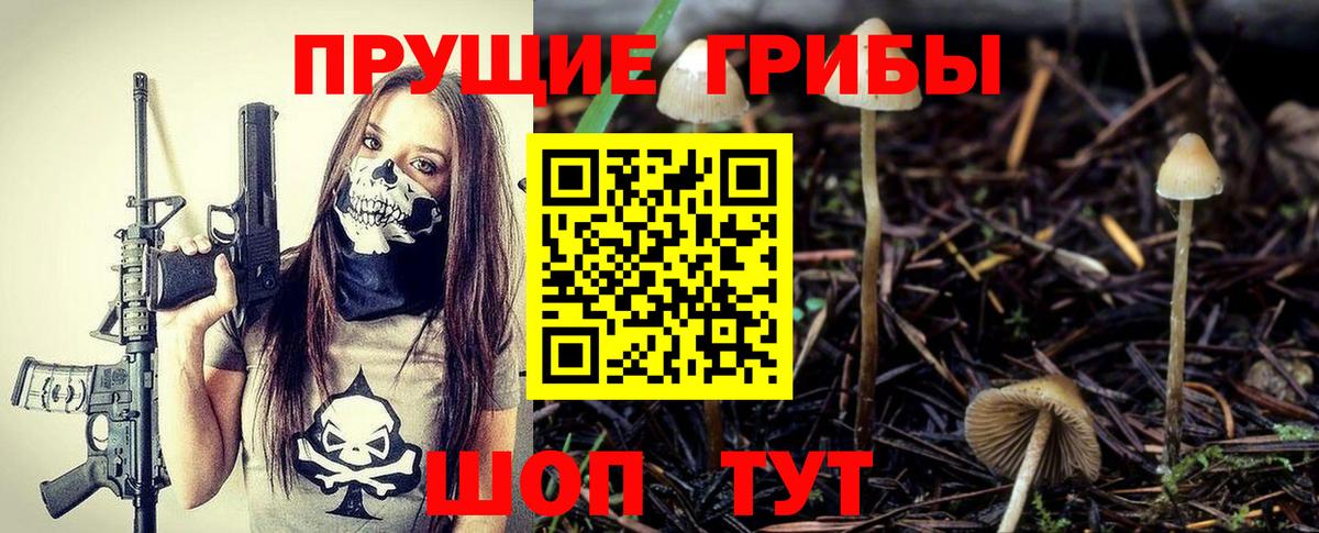 Ленинск-Кузнецкий  Псилоцибиновые грибы мицелий  Вход с VPN  Псилоцибиновые грибы мухоморы 